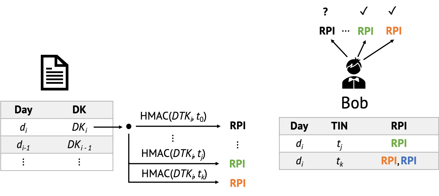 Each participant iterates through the list of Diagnosis Keys and computes the corresponding Rolling Proximity Identifiers. They then check whether they have seen that RPI in the past, in which case they know they might be infected
